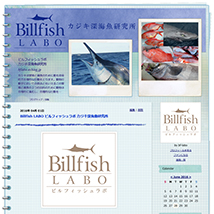 BillfishLABO ビルフィッシュラボ カジキ深海魚研究所 ブログ